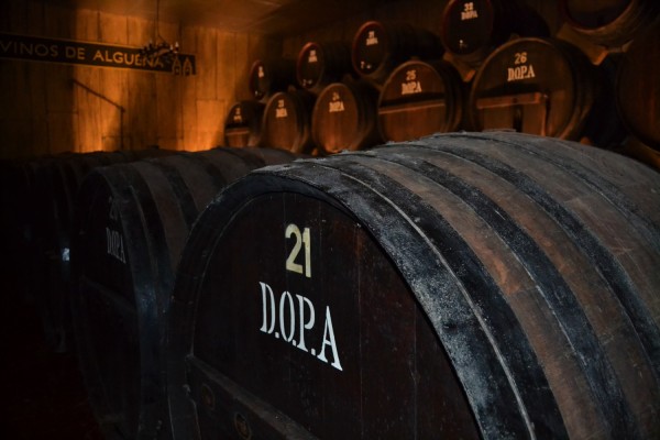 Bodega Cooperativa De Algueña